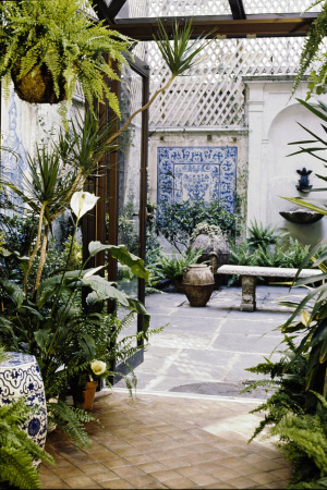 Bitkilerinize Değer Verme Zamanı