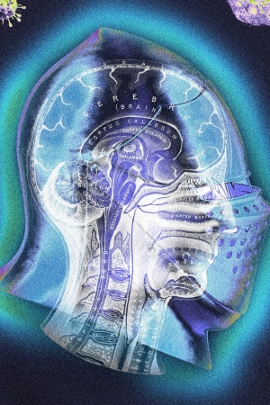 Bağışıklık Sistemini “Güçlendiremezsiniz”. İşte Bunun Yerine Ne Yapabileceğiniz