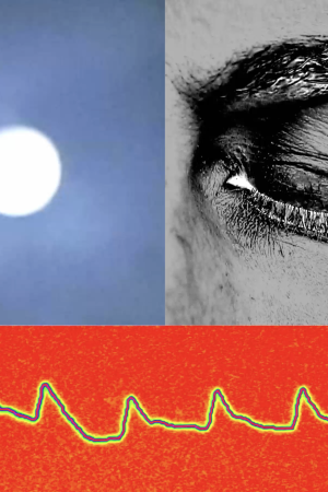 Tam Olarak Ne Kadar REM Uykusuna İhtiyacınız Var?