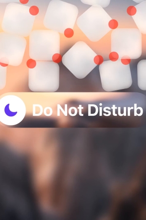 Telefonunu “Rahatsız Etmeyin” Modunda Tutmak Yaşamanın Tek Yolu