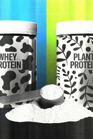 Hangi Protein Tozu En Az Kurşunu İçerir?