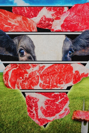 Besin Piramidi Geri Döndü ve Her Zamankinden Daha “Etli”. Peki Bu İyi Bir Şey mi?