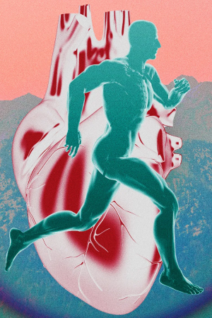 Zone 2 antrenmanı nedir