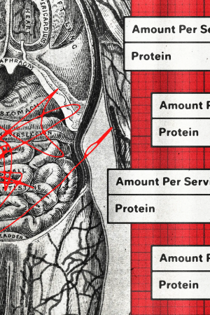 Proteinmaxxing Bağırsaklara Zarar Veriyor Mu?
