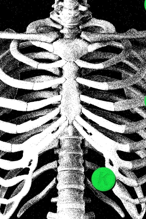 K vitamini, kemik sağlığı ve kemik yoğunluğunu temsil eden iskelet illüstrasyonu.