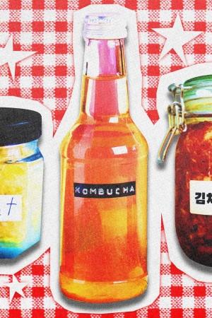 Fermente gıdalar illüstrasyonu. Lahana turşusu, kombucha ve kimchi kavanozları bağırsak sağlığı, probiyotikler ve sağlıklı beslenme trendini temsil ediyor.