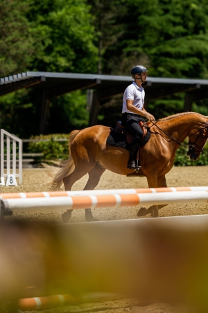 Aliée Equestrian Circle