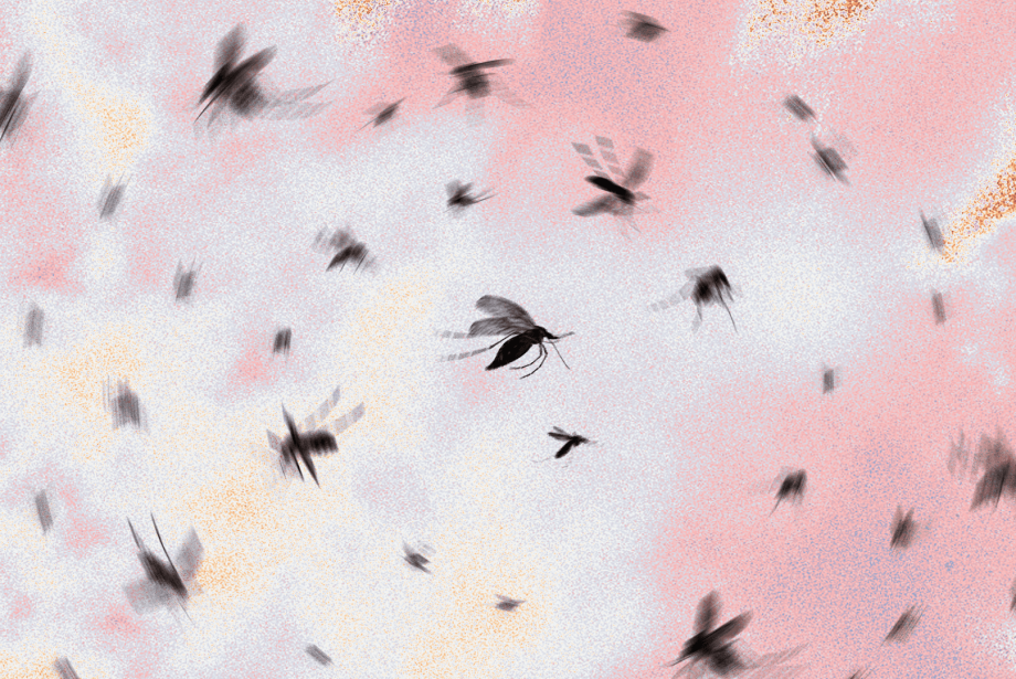 Bişektomi İle İlgili Bilmeniz Gereken Her Şey