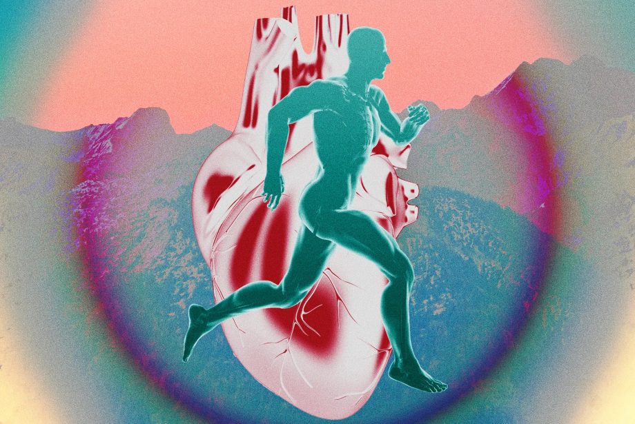 Zone 2 antrenmanı nedir