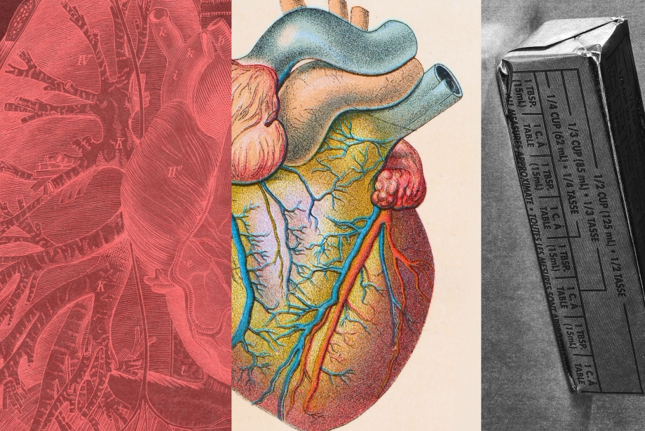 LDL Kolesterol Nedir ve Nasıl Düşürülür?