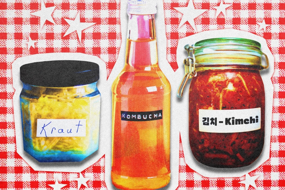 Fermente gıdalar illüstrasyonu. Lahana turşusu, kombucha ve kimchi kavanozları bağırsak sağlığı, probiyotikler ve sağlıklı beslenme trendini temsil ediyor.