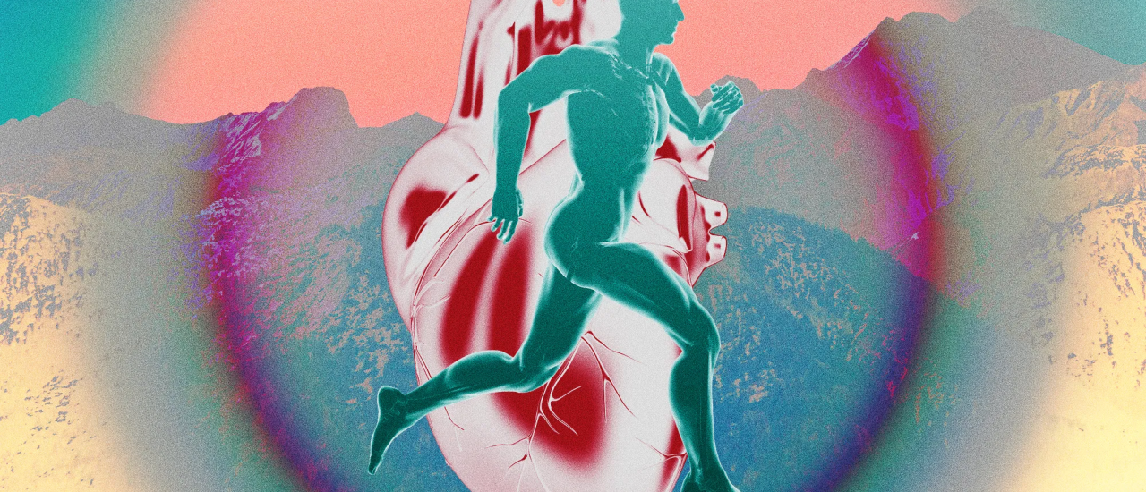 Kolay “Zone 2” Antrenmanları Neden Fitness Dünyasının En Büyük Meselesi ...