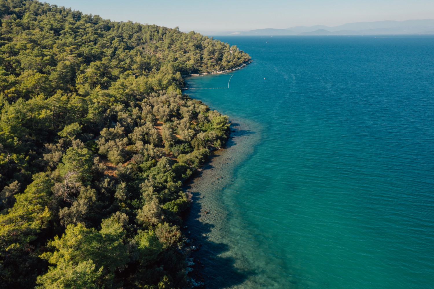 Amanruya Sezonu Açtı