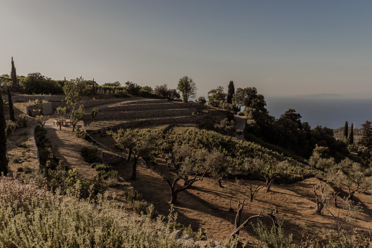 Samos’a Modern ve Minimalist Bir Bakış