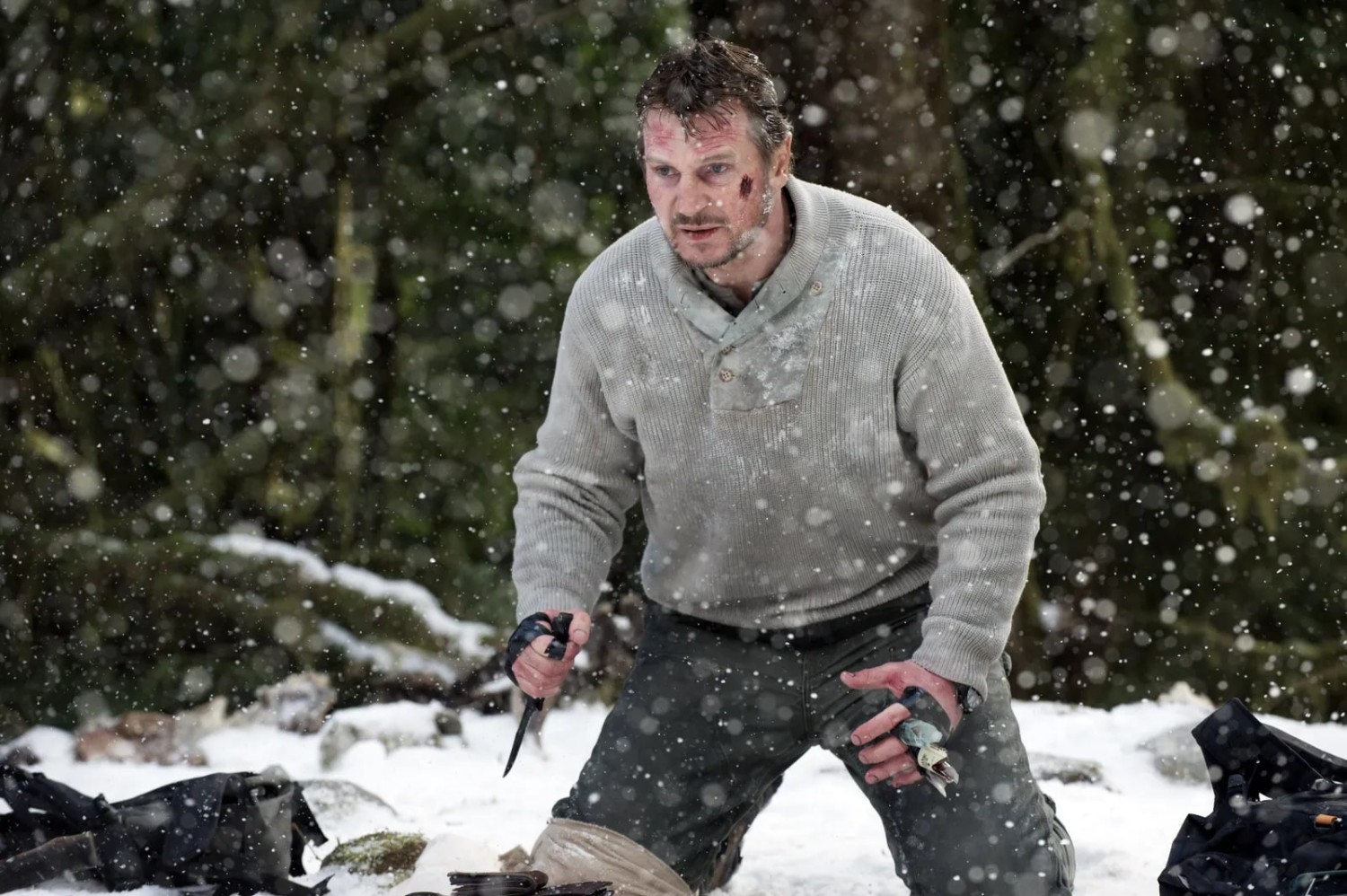 En İyi Liam Neeson Filmleri