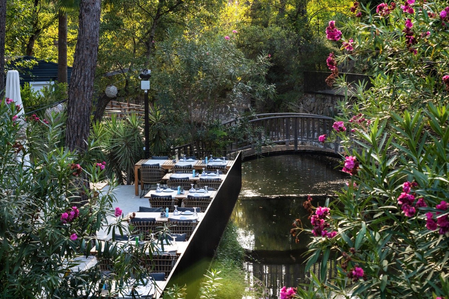 Golden Key Bördübet: Doğanın Kalbinde Sürdürülebilir Lüks ve Sanatla İç İçe Bir Kaçış