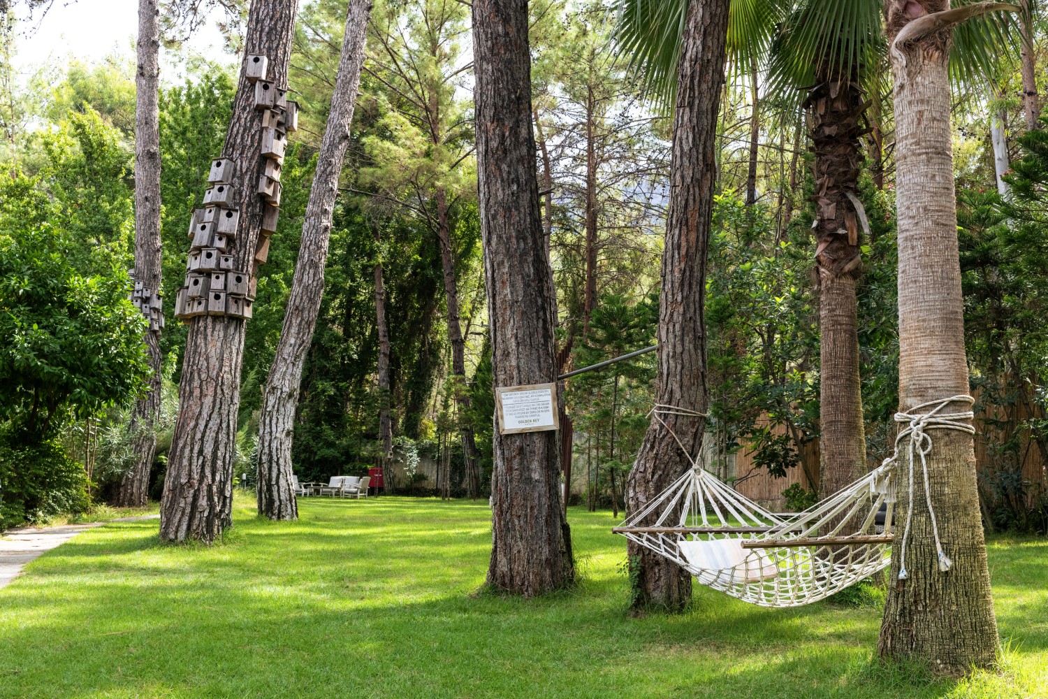 Golden Key Bördübet: Doğanın Kalbinde Sürdürülebilir Lüks ve Sanatla İç İçe Bir Kaçış