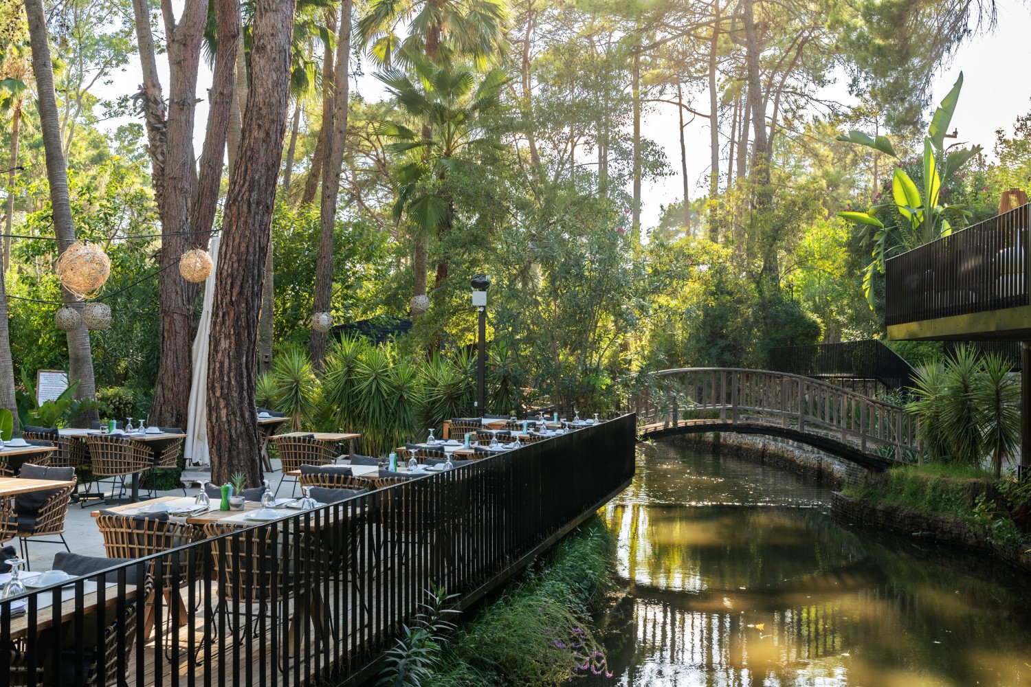 Golden Key Bördübet: Doğanın Kalbinde Sürdürülebilir Lüks ve Sanatla İç İçe Bir Kaçış