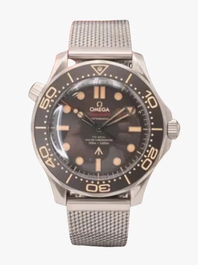 Omega Seamaster Satın Alma Rehberi