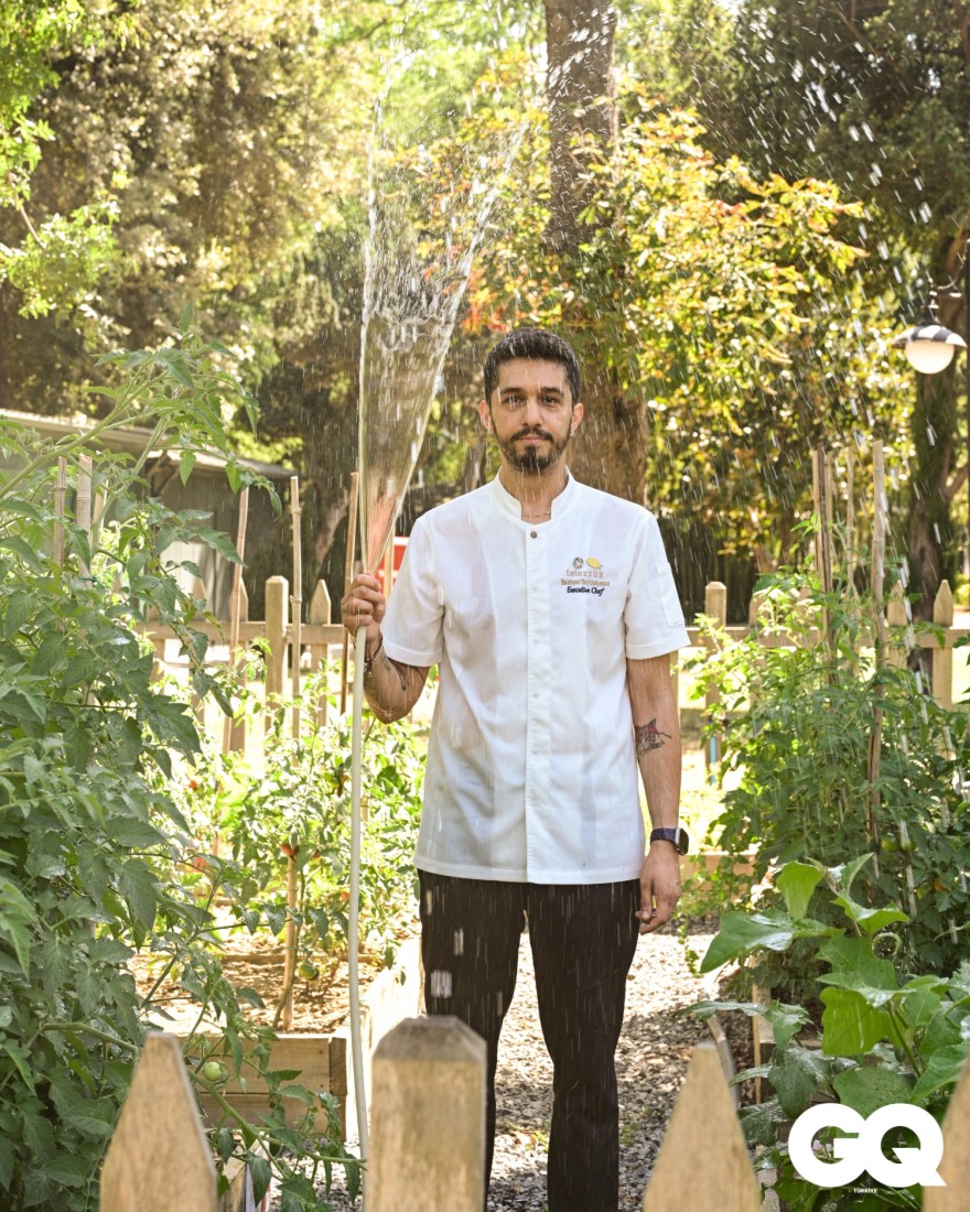 Dingin Bir Ayaklanma