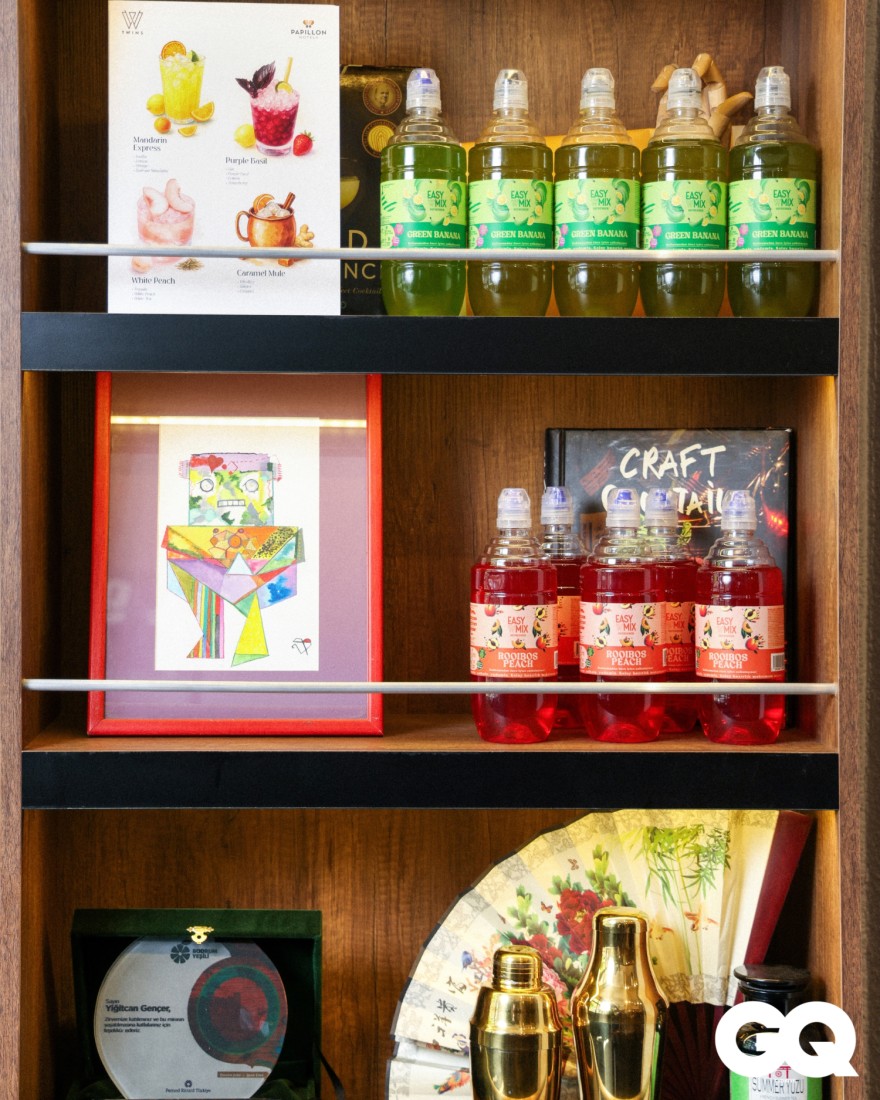 Twinning: Yiğitcan ve Onurcan Gencer