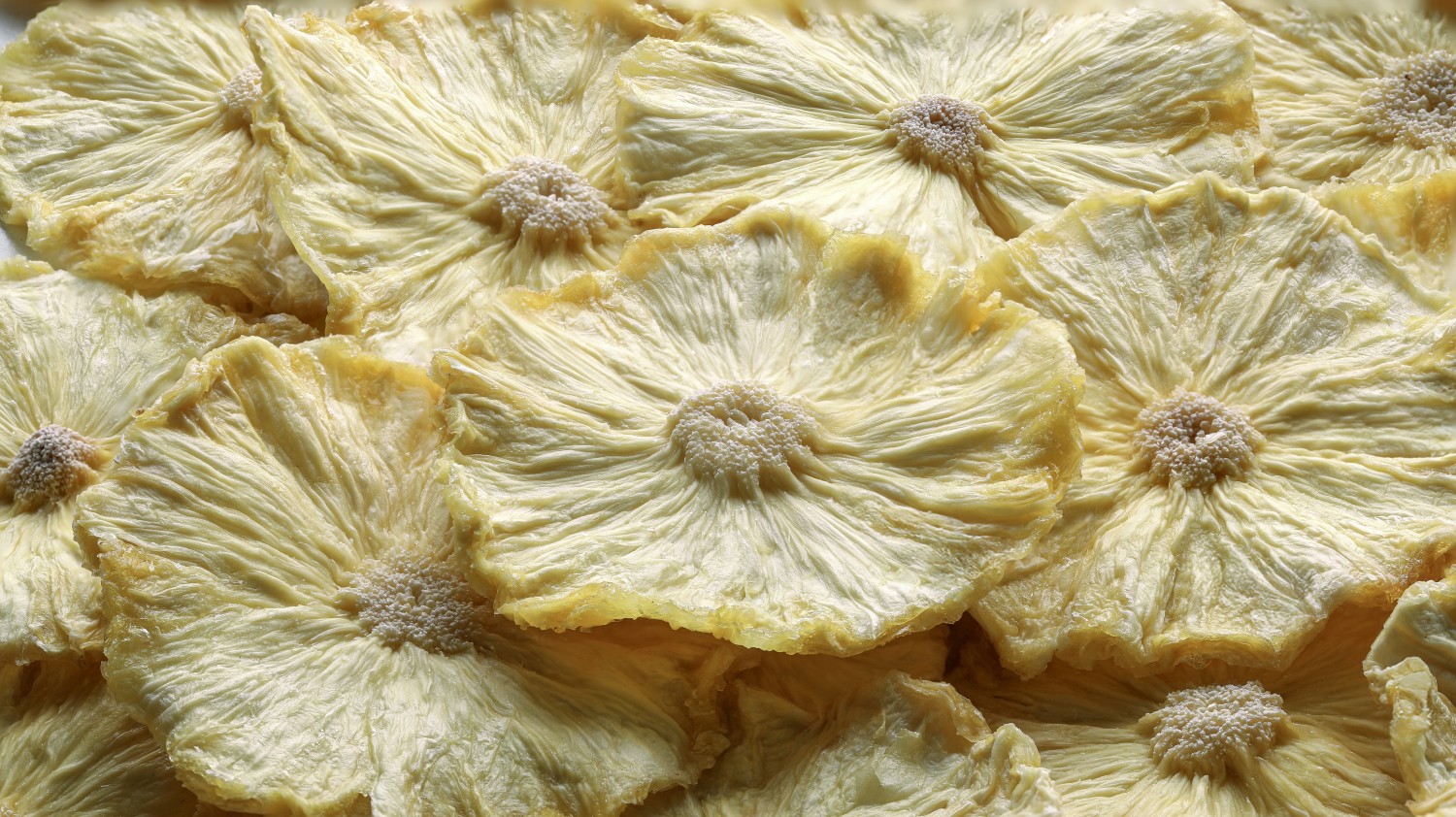 Geleneksel Meyvenin Yeni Nesil Yorumu