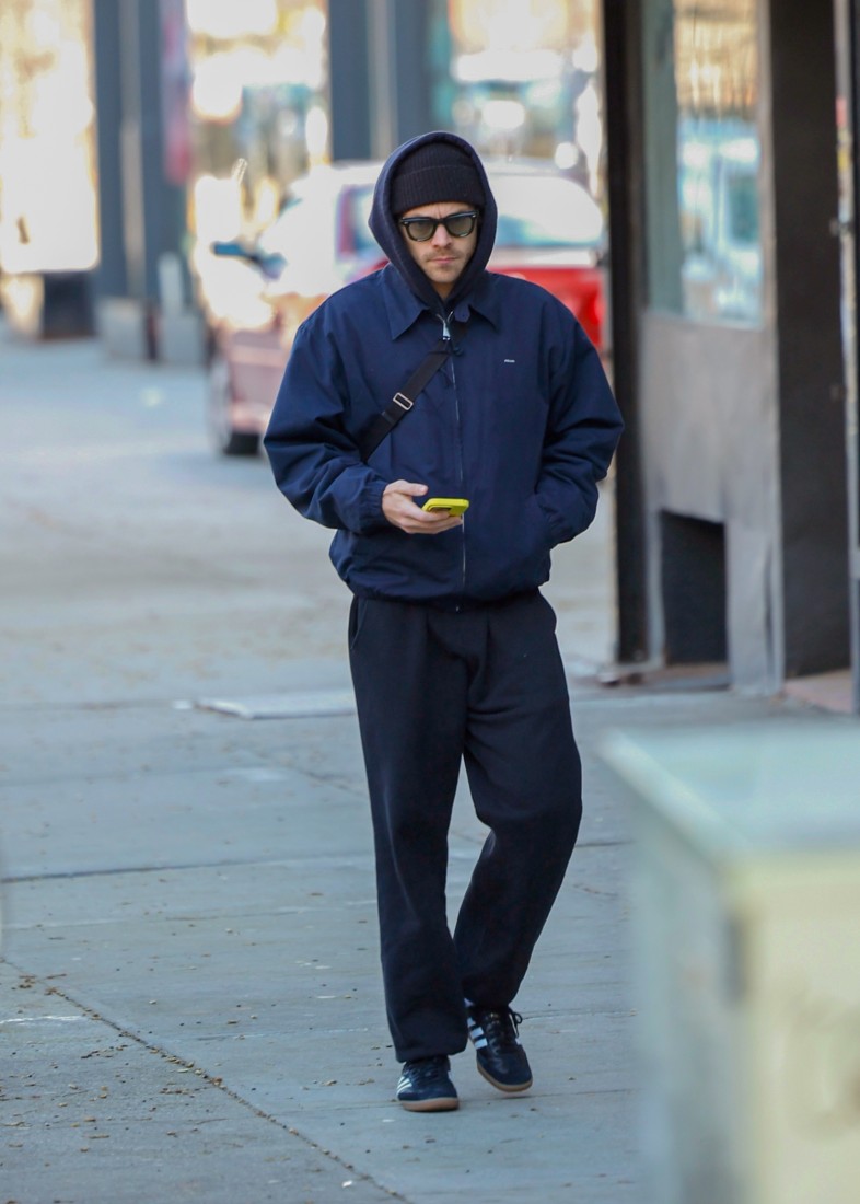 Harry Styles, Tanınmadan Yürüyüş Yaparken Adidas ve Prada Giyiyor