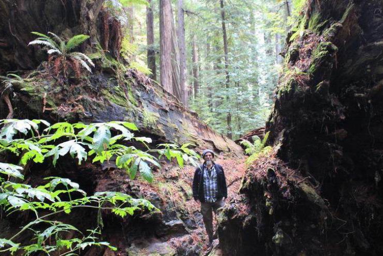 Ayşe Zeynep Güldiken