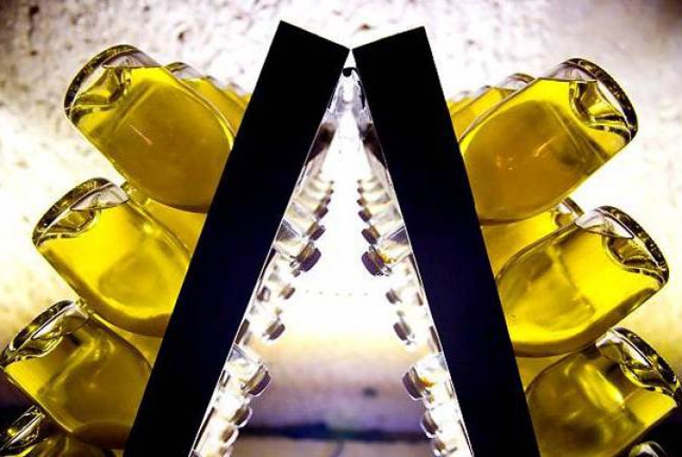 Ayşe Zeynep Güldiken