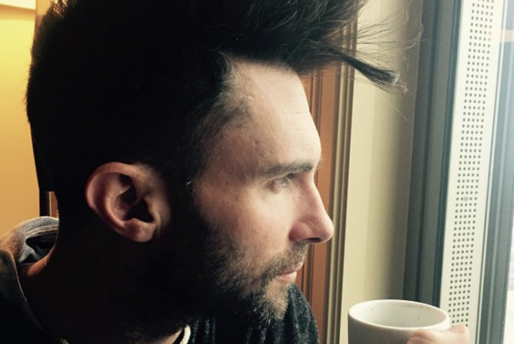 Adam Levine ve ilham verici saçları