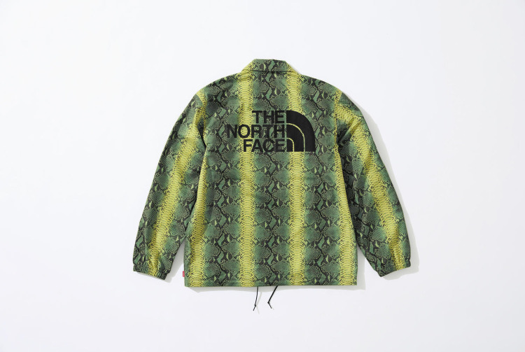 Supreme ve The North Face’den yeni koleksiyon