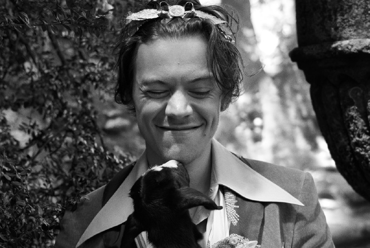 Harry Styles'in Seyahat Stili