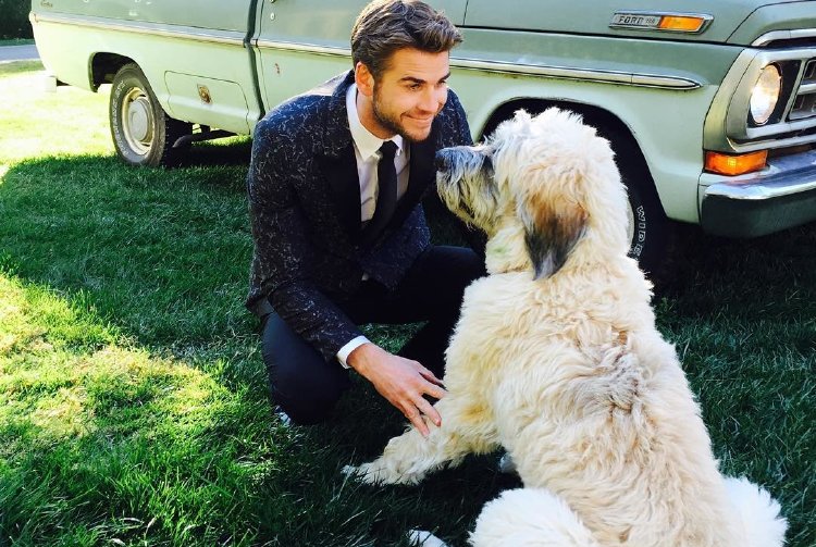 Liam Hemsworth'tan Not Alınması Gereken 5 Söz