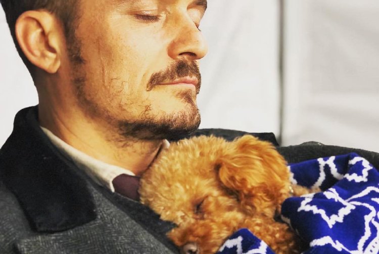 Orlando Bloom ve Mighty'nin En Sempatik Anları