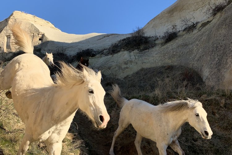 Çocukların Dünyası iPhone ile Hayat Buldu