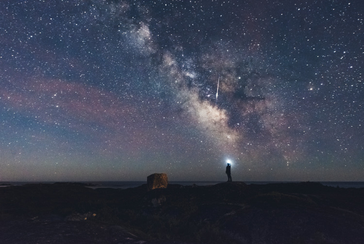 Melis Şenol Aşkaroğlu