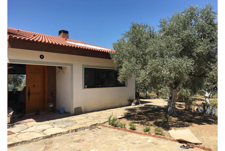 Efes'te Sanat Dolu Birkaç Derin Nefes