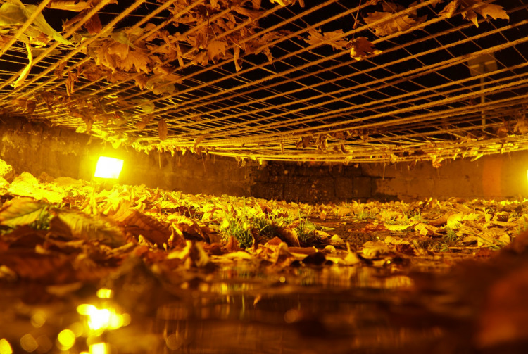 Siber Şiddet: Toplumsal Cinsiyete Dayalı Şiddetin Başka Bir Biçimi