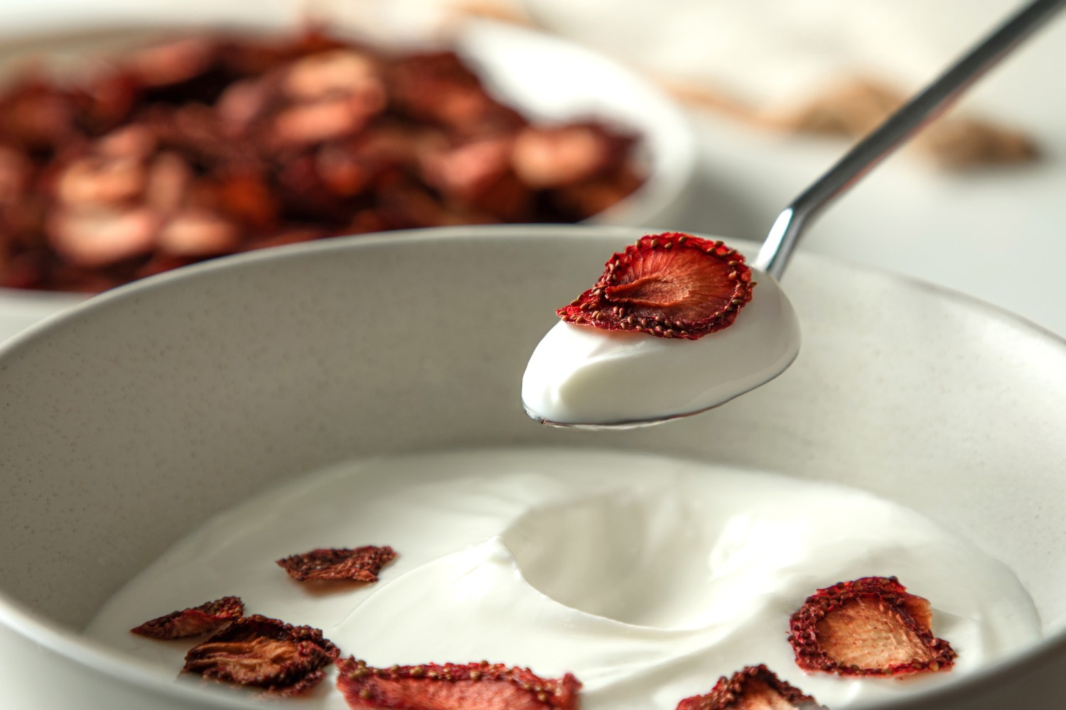 Geleneksel Meyvenin Yeni Nesil Yorumu