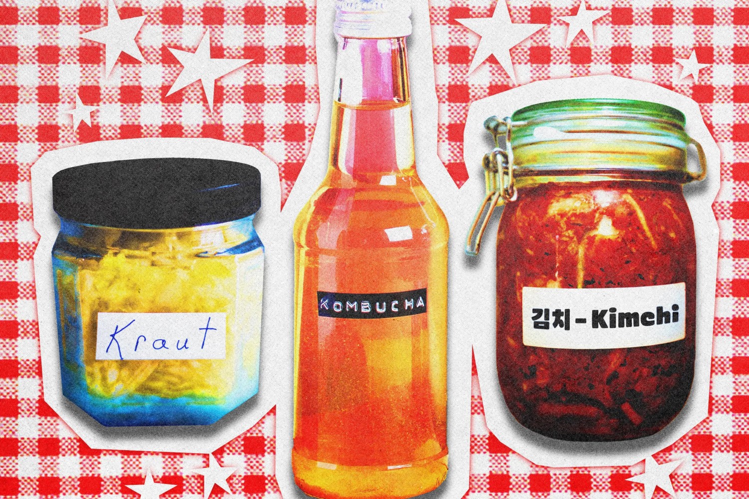 Fermente gıdalar illüstrasyonu. Lahana turşusu, kombucha ve kimchi kavanozları bağırsak sağlığı, probiyotikler ve sağlıklı beslenme trendini temsil ediyor.
