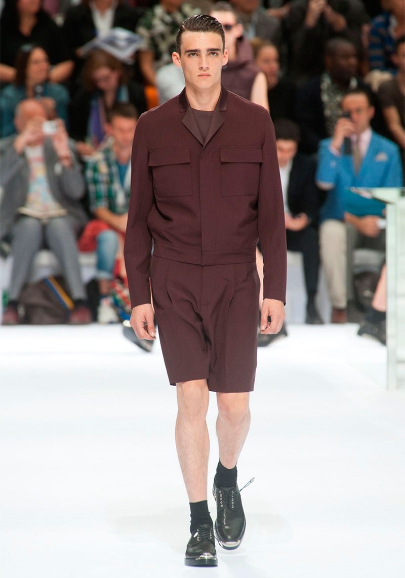 Dior Homme İlkbahar / Yaz 2014