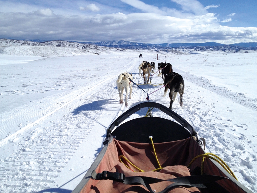 Karda Yönünüzü Kaybetmenin 5 Alternatif Yolu