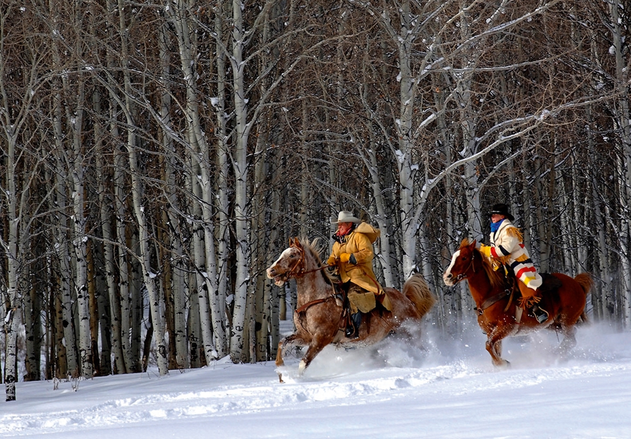 Karda Yönünüzü Kaybetmenin 5 Alternatif Yolu
