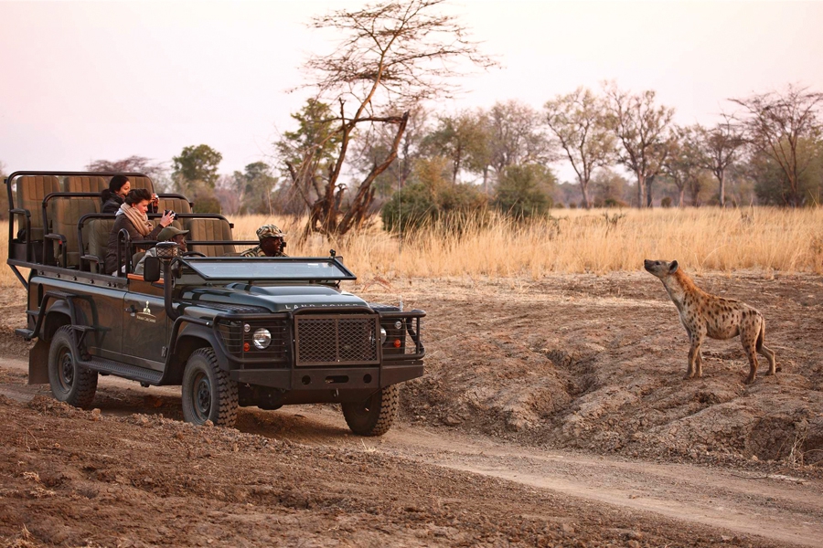 2016'da Onu Nereye Götüreceksiniz? (Beyler, Soru Size)