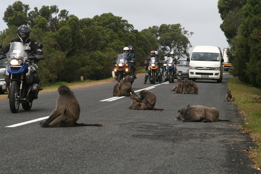 2016'da Onu Nereye Götüreceksiniz? (Beyler, Soru Size)