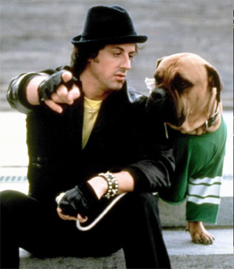 Her Neslin Kahramanı Sylvester Stallone