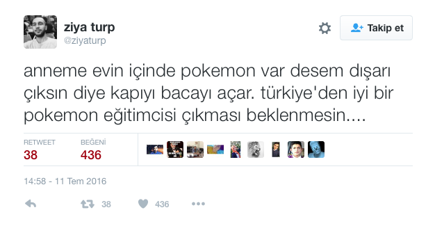 Memleketten Pokémon Manzaraları