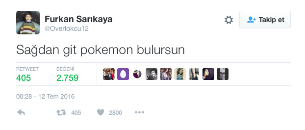 Memleketten Pokémon Manzaraları