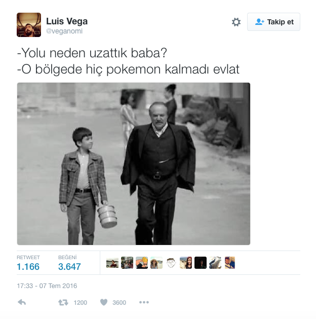 Memleketten Pokémon Manzaraları