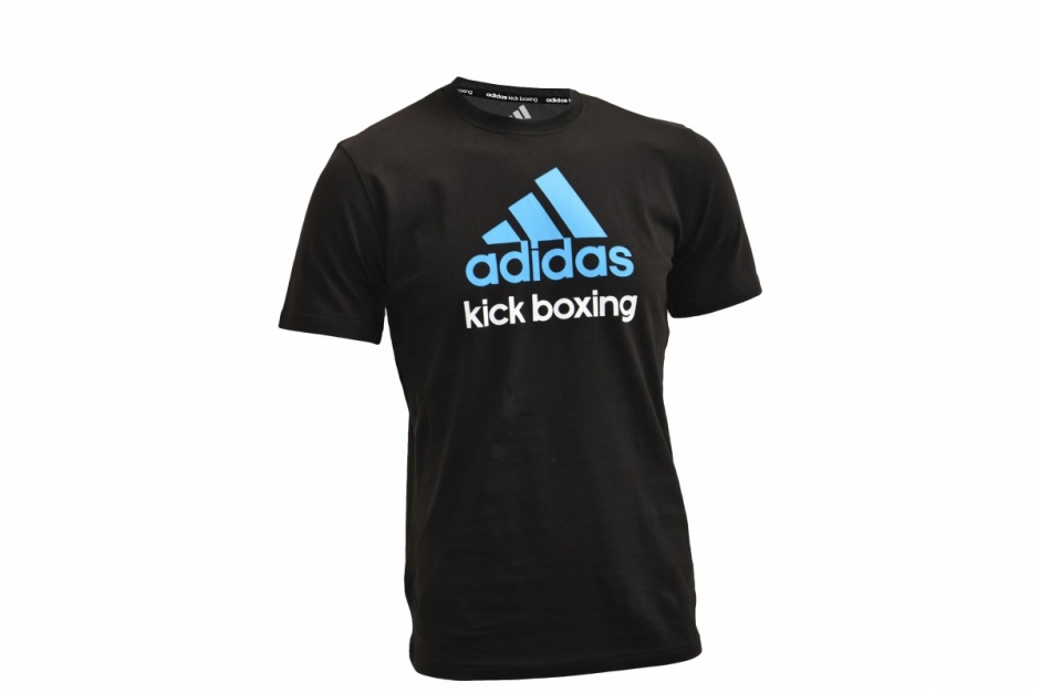 Yeni Başlayanlar İçin Kick Boks Stili